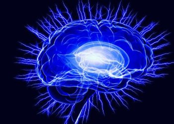 Oren Zarif – Ischemic Stroke