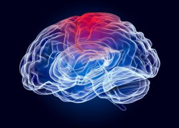 Oren Zarif – Ischemic Stroke